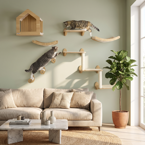 The Ascent — Solid Oak Cat Wall Climbing Set